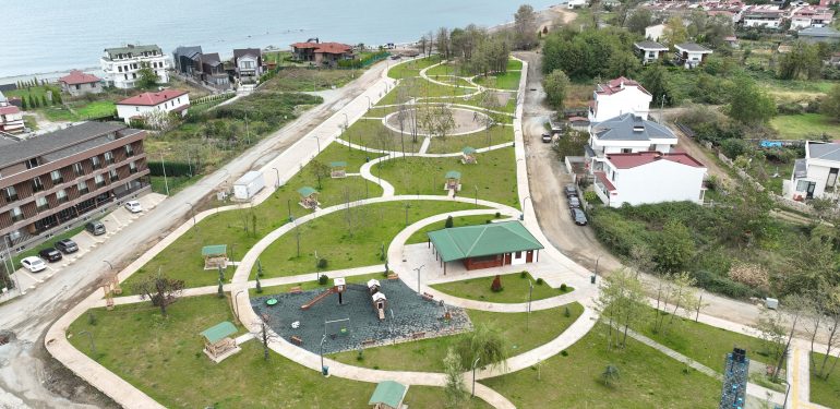 Bataklıktı yaşam alanı oldu